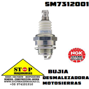 BUJIAS DESMALEZADORA CORTACESPED MOTORES